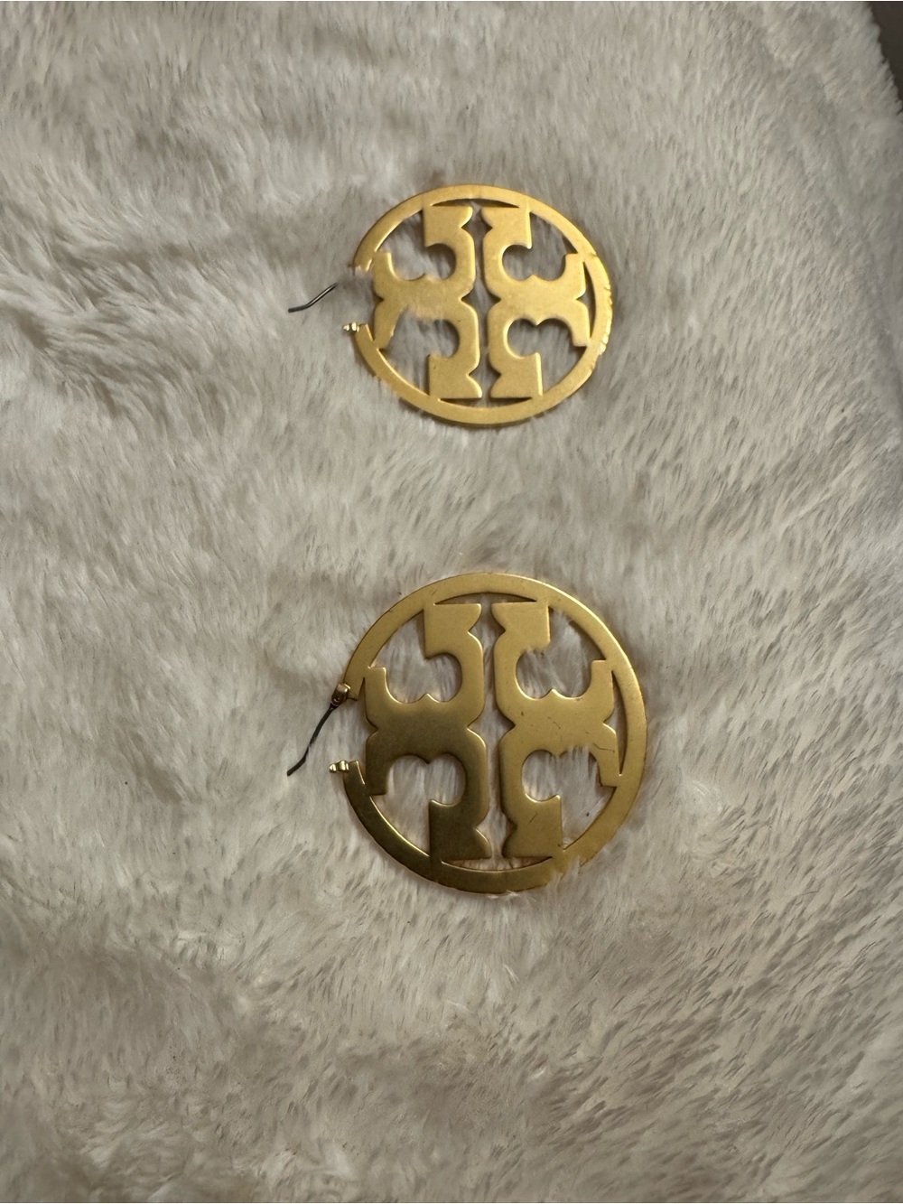 Earrings (Hoop Style)